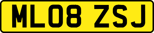 ML08ZSJ