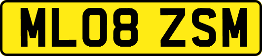 ML08ZSM