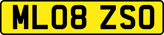 ML08ZSO