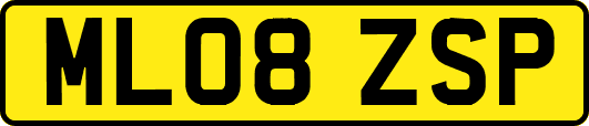 ML08ZSP
