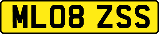 ML08ZSS