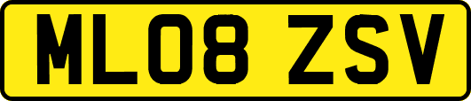 ML08ZSV