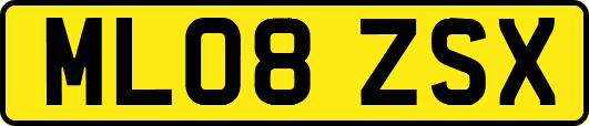 ML08ZSX