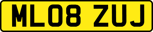 ML08ZUJ