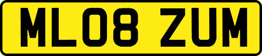 ML08ZUM