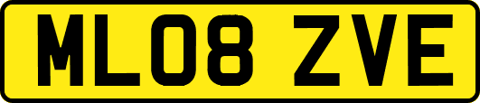 ML08ZVE