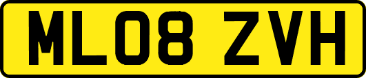 ML08ZVH