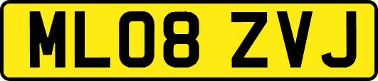ML08ZVJ