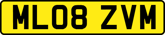 ML08ZVM