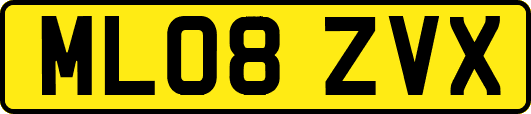 ML08ZVX