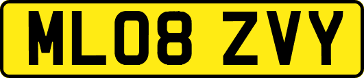 ML08ZVY
