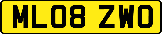 ML08ZWO