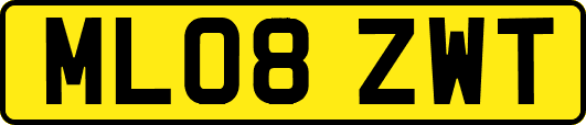 ML08ZWT