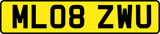 ML08ZWU