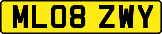 ML08ZWY