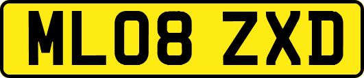 ML08ZXD