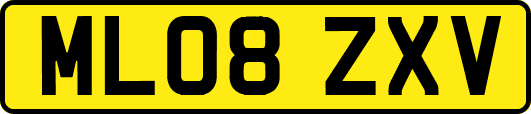 ML08ZXV