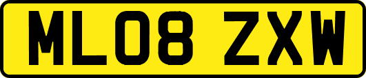 ML08ZXW