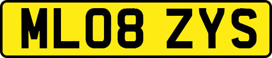 ML08ZYS