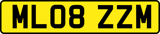 ML08ZZM