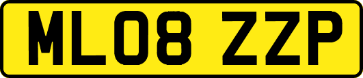ML08ZZP