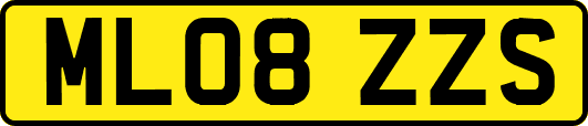 ML08ZZS