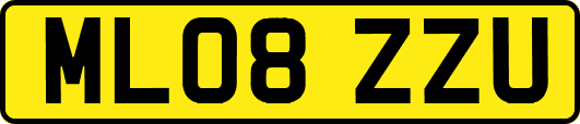 ML08ZZU