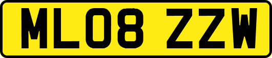 ML08ZZW