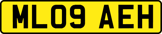 ML09AEH