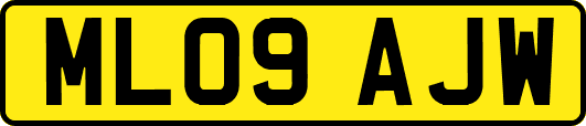 ML09AJW