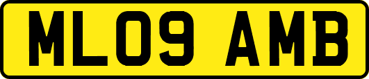 ML09AMB
