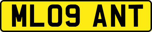 ML09ANT