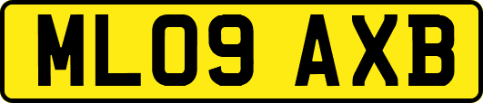 ML09AXB