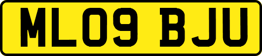 ML09BJU