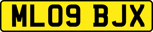 ML09BJX