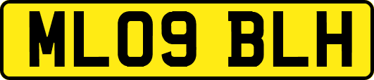 ML09BLH