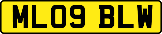 ML09BLW