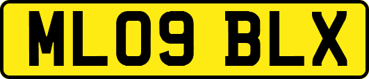 ML09BLX