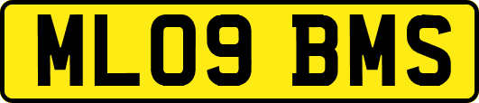 ML09BMS