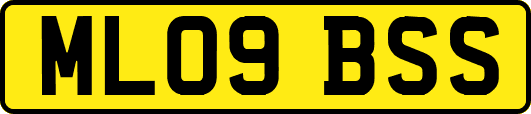 ML09BSS