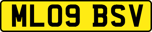 ML09BSV