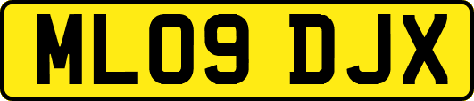 ML09DJX