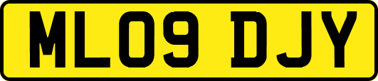 ML09DJY