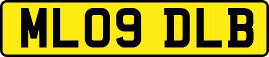 ML09DLB