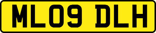 ML09DLH