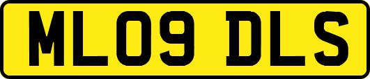 ML09DLS