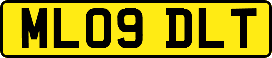 ML09DLT