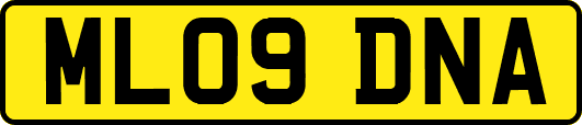 ML09DNA