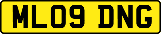 ML09DNG