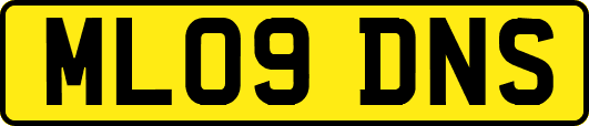ML09DNS